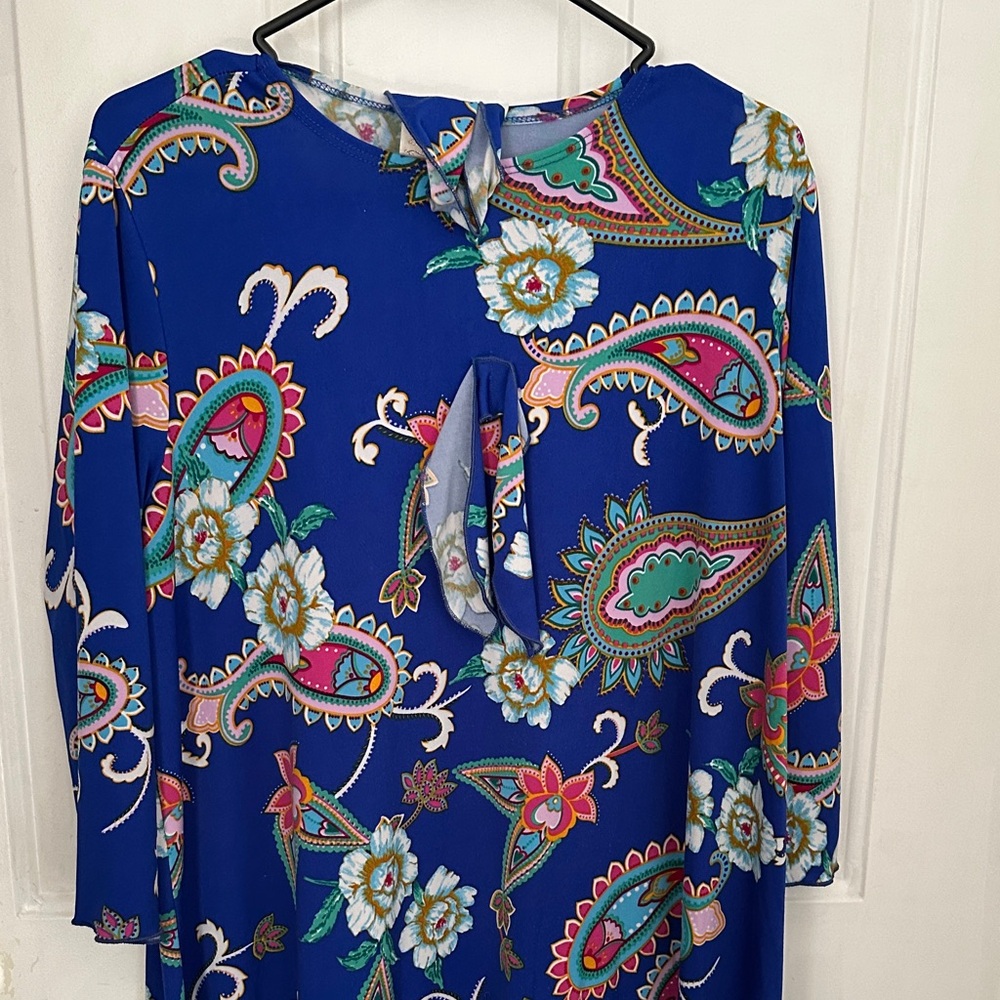 Zadie bs dress